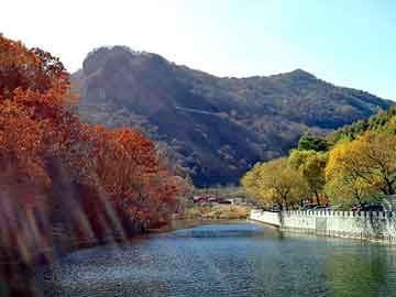 管家婆免费正版资起大全，天涯医院